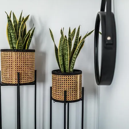 Naxian Secret 3* Naxos City