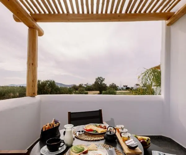 酒店 Naxian Secret Naxos City