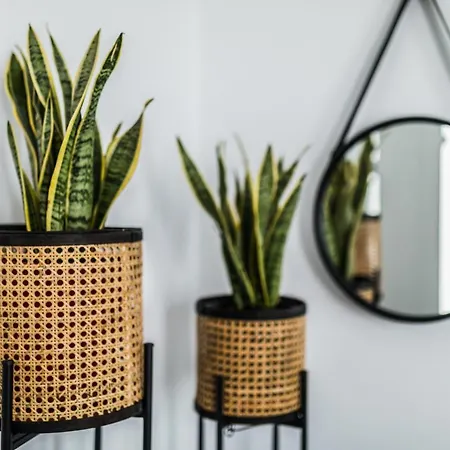 Hotel Naxian Secret 3*