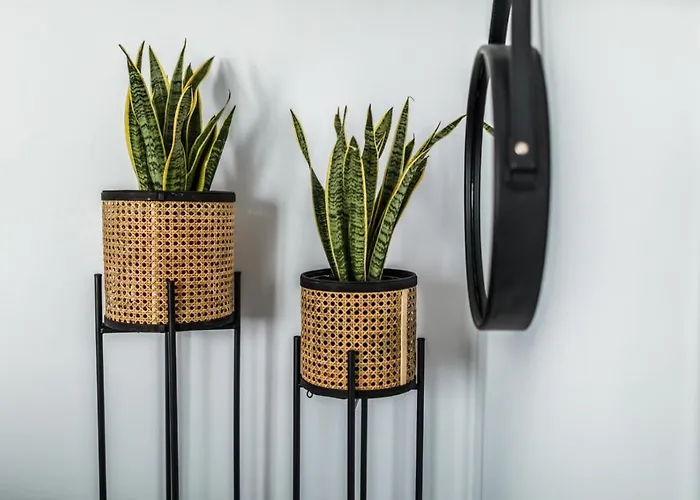 Naxian Secret 3* Naxos City