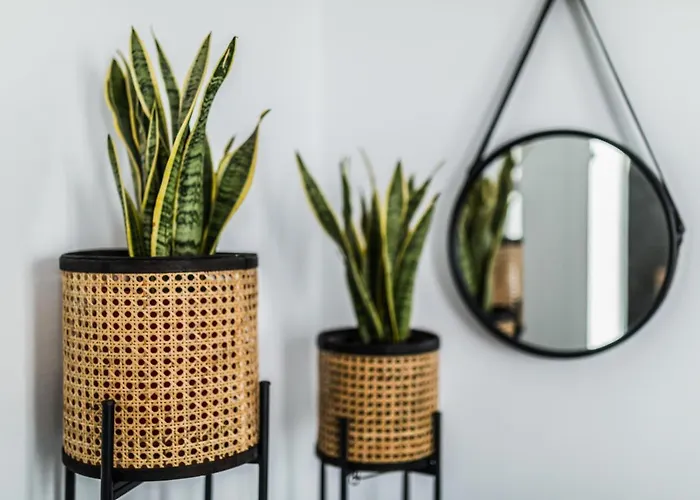 Hotel Naxian Secret 3*